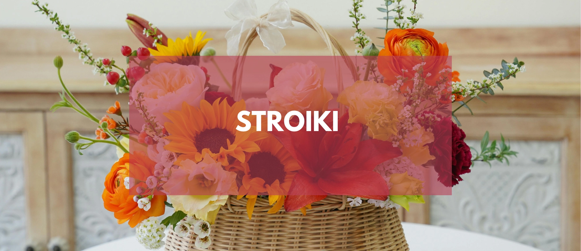 Stroiki